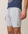 Marine Layer Lined Sport and Swim Short
