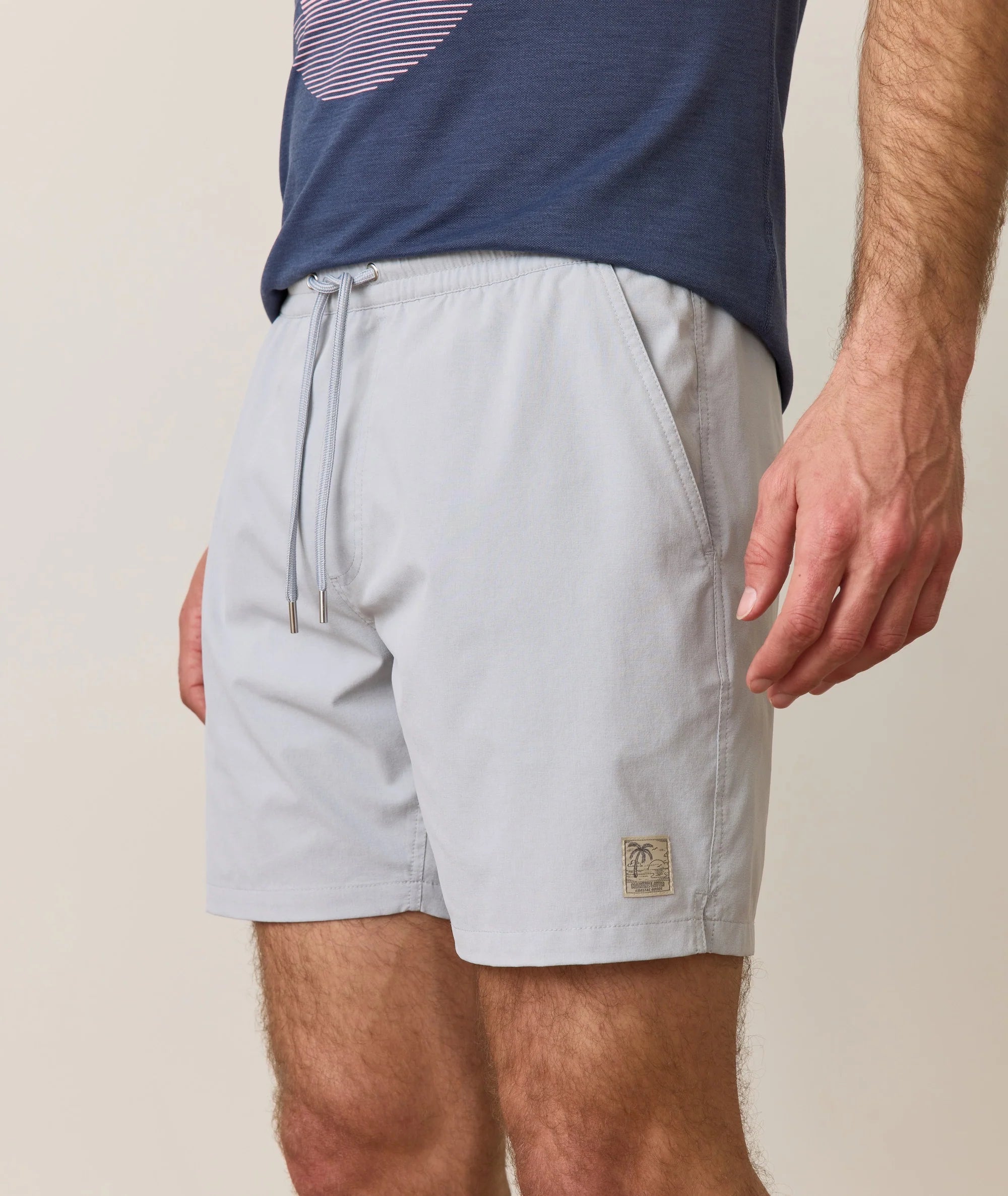 Marine Layer Lined Sport and Swim Short