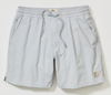 Marine Layer Lined Sport and Swim Short