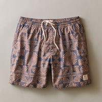 Marine Layer Lined Sport and Swim Short