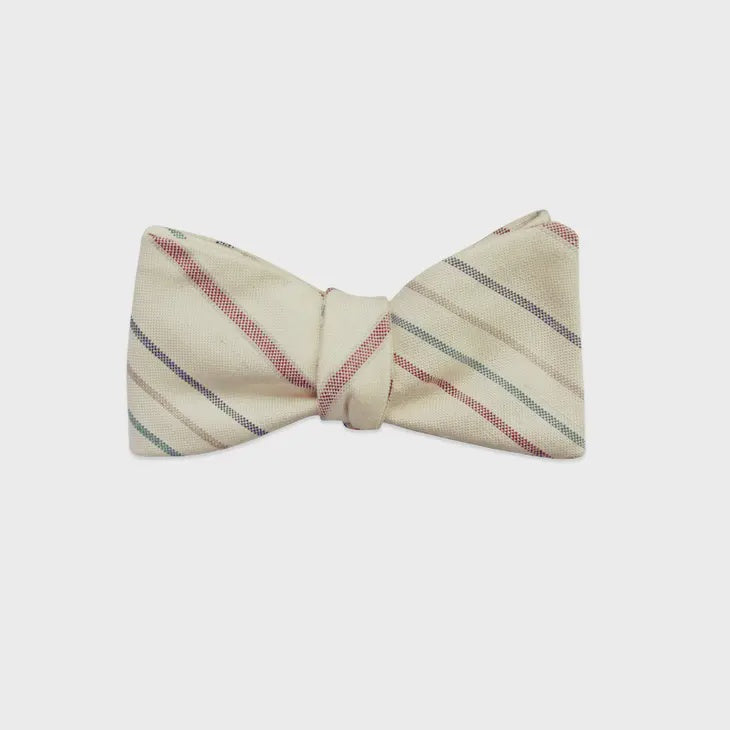 PSC Bernard Bow Tie
